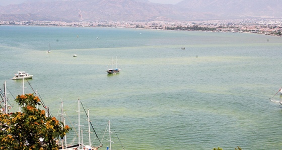 Fethiye Körfezi&#039;nde sarı ve yeşil alarm