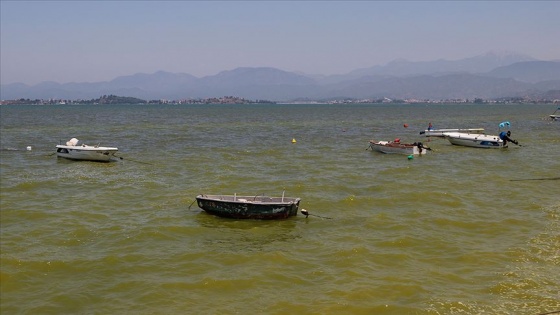 Fethiye Körfezi&#039;nin rengi değişti