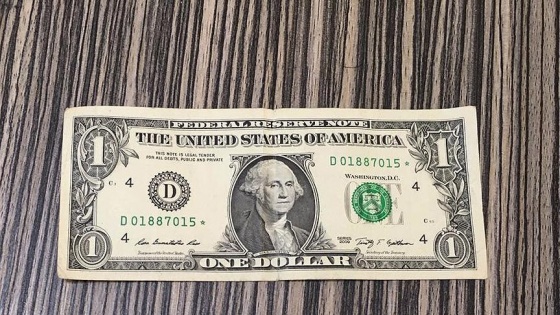 FETÖ şüphelisinin evinde ABD bayrağı ve 1 dolar çıktı