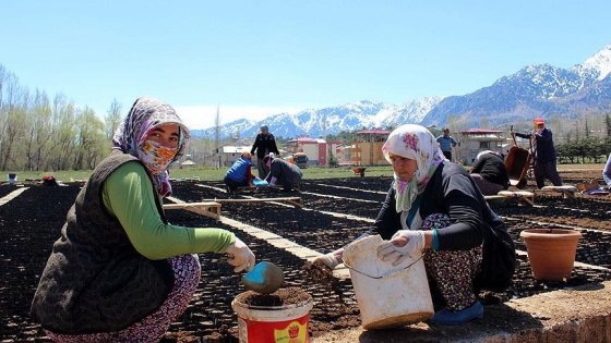 Fidanlar kadın elinde hayat buluyor