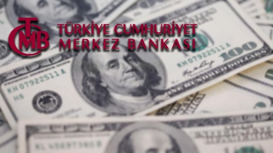 Finansal kesim dışındaki firmaların net döviz açığı azaldı