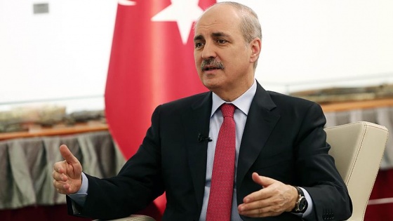 'Fitch Ratings'in kararı Türkiye'ye dönük kampanyanın parçası'