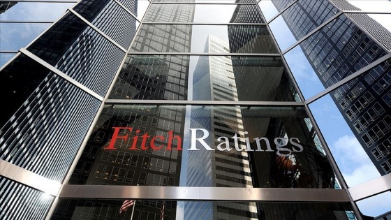 Fitch Ratings: Küresel pandemi etkisinin ardından Türkiye büyümesini sürdürecek