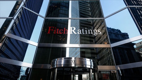 Fitch Ratings'ten koronavirüs salgınının küresel doğal gaz piyasasını baskılayabileceği uyarısı