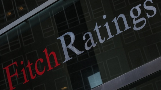 Fitch'ten '2021'de gelişen ekonomilerin para birimlerinin güçleneceği' öngörüsü