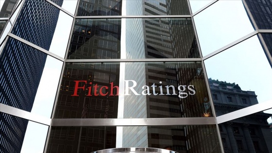 Fitch: Yaklaşan ABD seçimlerinin politika ortamı üzerinde önemli etkileri olacak