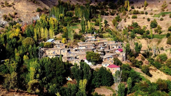 Fotoğraf tutkunları 'Hizan'a hayran kaldı