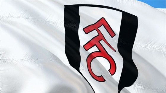 Fulham, Premier Lig'e yükselen son takım oldu