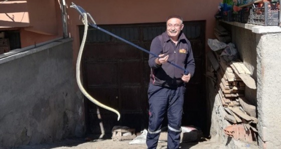 Garaja giren yılan itfaiye ekipleri tarafından çıkarıldı