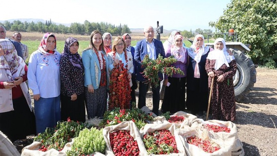 GastroAntep Festivali biber hasadıyla başladı