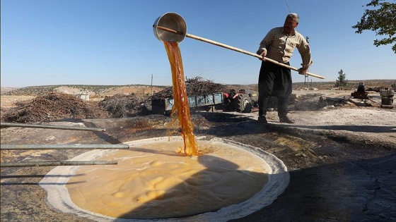 'Gastronomi şehri'nde yaş üzüm pekmezi zamanı