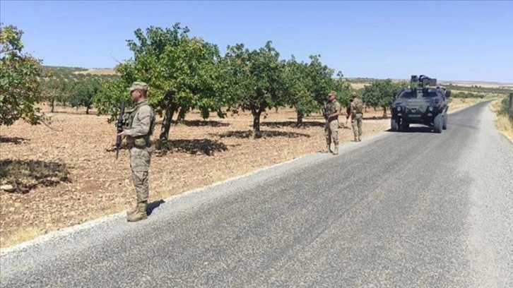 Gaziantep'te hasat dönemi yaklaşan Antep fıstığı için koruma tedbirleri arttırıldı