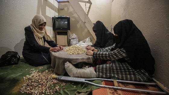 Gazzeli ailenin geçim kaynağı 'fıstık ayıklamak'