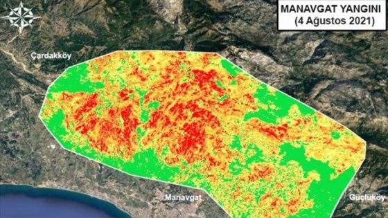 Gebze Teknik Üniversitesi, orman yangınlarının etkili olduğu alanları haritalandırdı