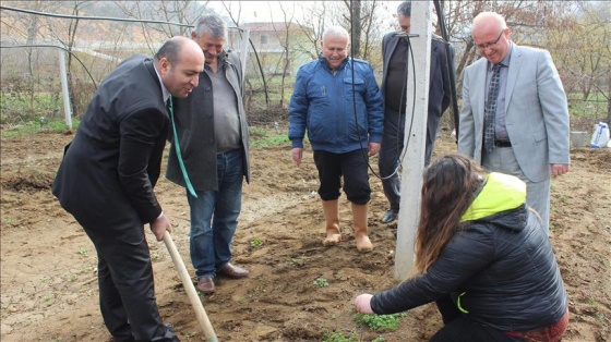 Genç çiftçiler hibe desteğiyle kivi bahçesi kurdu