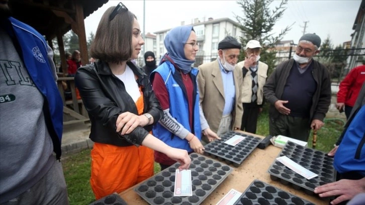 Gençlerin elinde yeşeren ata tohumları huzurevi bahçesinde meyve verecek