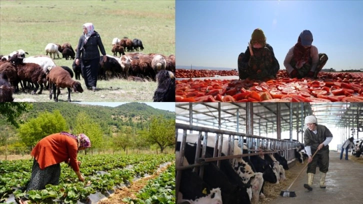 Gençlerin ve kadınların devlet destekleriyle kırsalda üretimi sürdürmesi amaçlanıyor