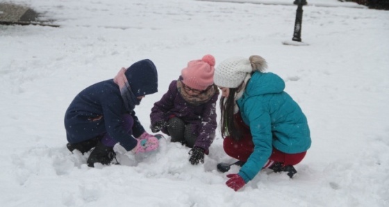 Gevaş'ta okullar yarın tatil