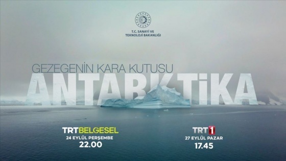 'Gezegenin Kara Kutusu: Antarktika' belgeseli gün sayıyor