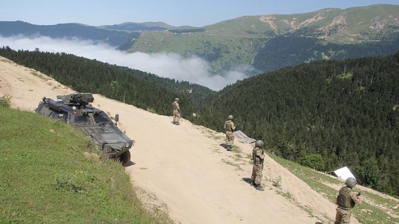 Giresun'da 1 terörist etkisiz hale getirildi