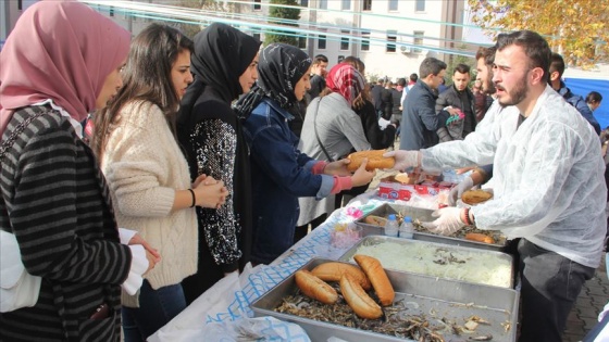 Giresun'da düzenlenen hamsi şenliğinde 500 kilogram balık dağıtıldı