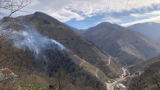 Giresun'da örtü yangınlarına neden olan 5 kişi hakkında suç duyurusu