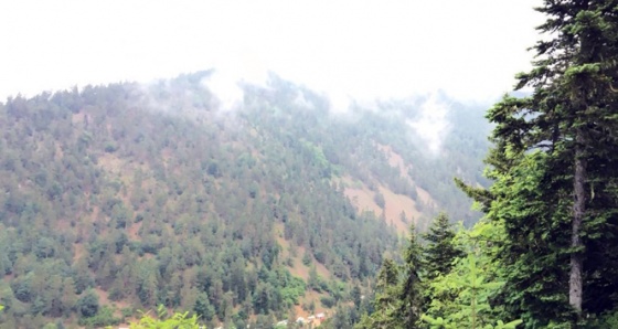 Giresun’daki helikopter kazasında yaralılara yardım edenler o anları anlattı