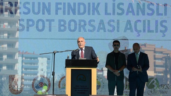 'Giresun fındığı 10,50 liradır, bunun altında satmayın'