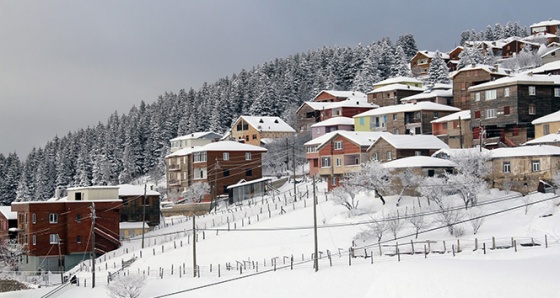 Giresun yaylalarından kartpostallık görüntüler...