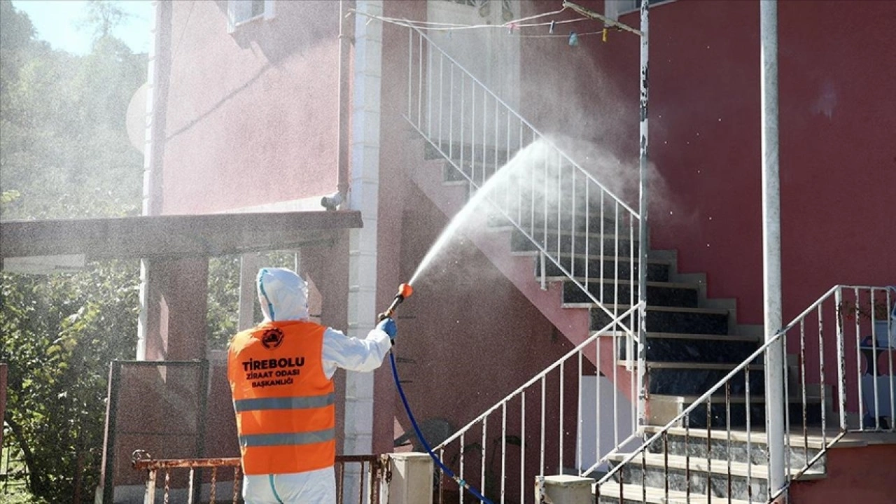 Giresun'da kahverengi kokarcayla mücadele imha timi oluşturuldu