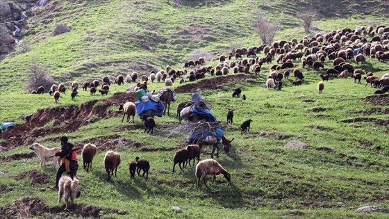 Göçerler yaylaya çıkmak için dağlardaki karların erimesini bekliyor