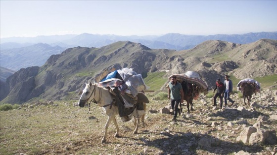 Göçerlerin atlarla zorlu yayla yolculuğu