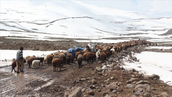 Göçerlerin karlı dağlardaki zorlu yayla yolculuğu