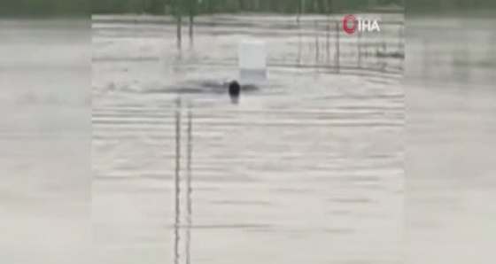 Gölde açılan uzaktan kumandalı teknesini almak isterken, kayboldu