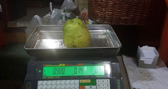 Görenleri hayrete düşüren 1 kilogramlık armut