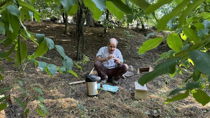 Görme engeline rağmen 10 yıldır köyünde sebze ve meyve yetiştiriyor