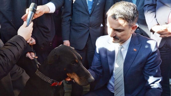 Görme yetisini kaybeden köpeğe Bakan Pakdemirli sahip çıktı