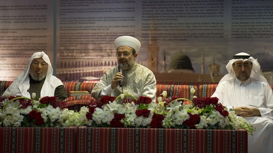 Görmez, Katar'da FETÖ'yü anlattı