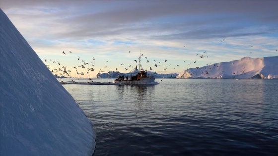 Grönland'da buzul koptu: 1 ölü, 2 kayıp