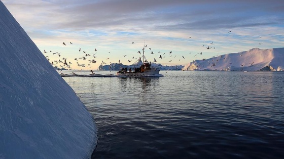 Grönland'dan ABD'ye 'temizlik' talebi
