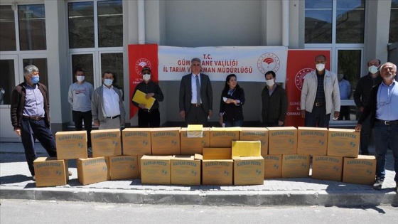 Gümüşhane'de organik bal üretimi için arıcılara 2 ton petek dağıtıldı