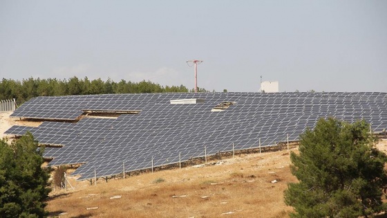 Güneş kuruyan tarlalara 'can suyu' oluyor