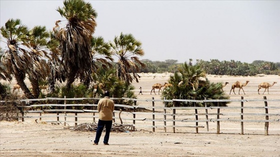 Güney Afrika'da 'beyaz' çiftçi gerginliği