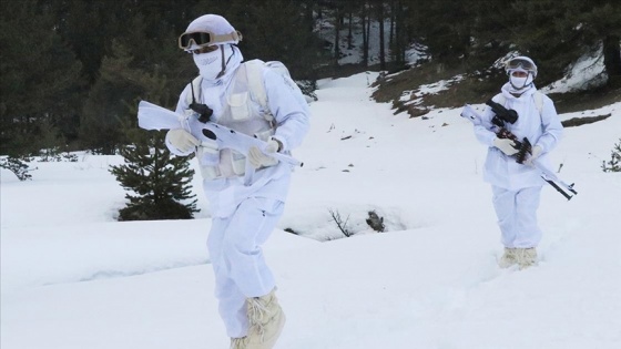 Güvenlik güçleri şubat ayında 126 PKK'lı teröristi etkisiz hale getirdi