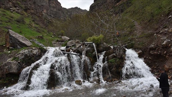 Hakkari dağlarının eteklerinde bahar yüksek kesimlerinde kış yaşanıyor