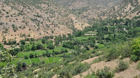 Hakkari'nin terörden temizlenen mahallelerinde 25 yıl sonra tarım yapılıyor