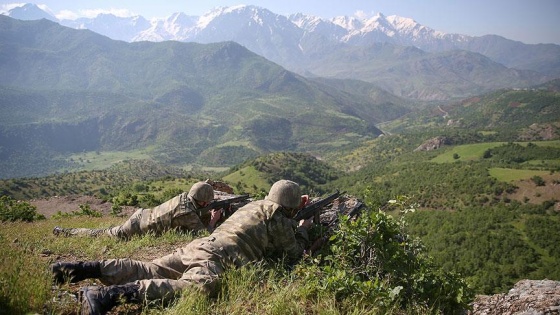 Hakkari ve Siirt'te 4 terörist etkisiz hale getirildi