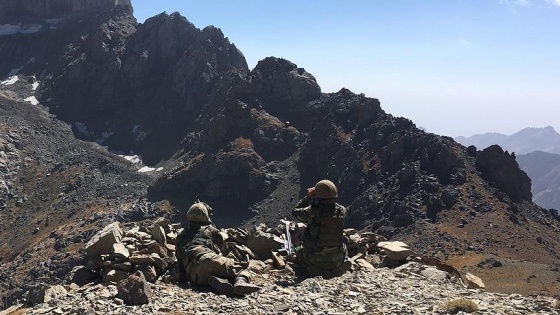 Hakkari ve Şırnak'ta 3 terörist etkisiz hale getirildi