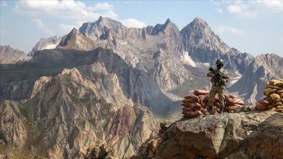 Hakkari ve Şırnak'ta 7 terörist etkisiz hale getirildi