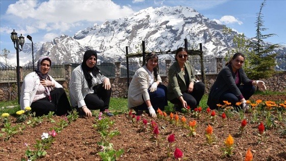 Hakkari'yi 13 kadın süslüyor